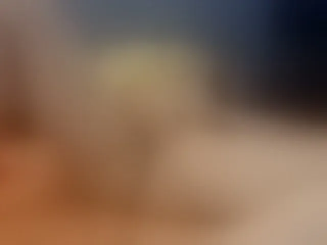 Live sex webcam photo for SexxySouthern #273276225