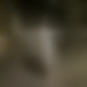 Live sex webcam photo for Sexylicious21 #292808536