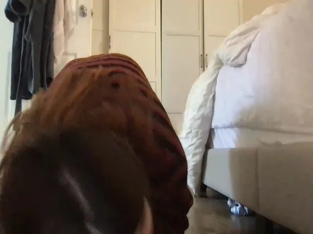 Live sex webcam photo for Sexysadie125 #273235806