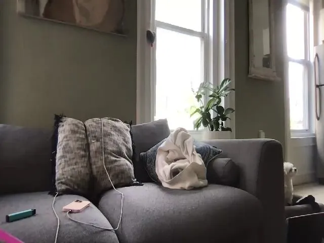 Live sex webcam photo for Sexysadie125 #274618422