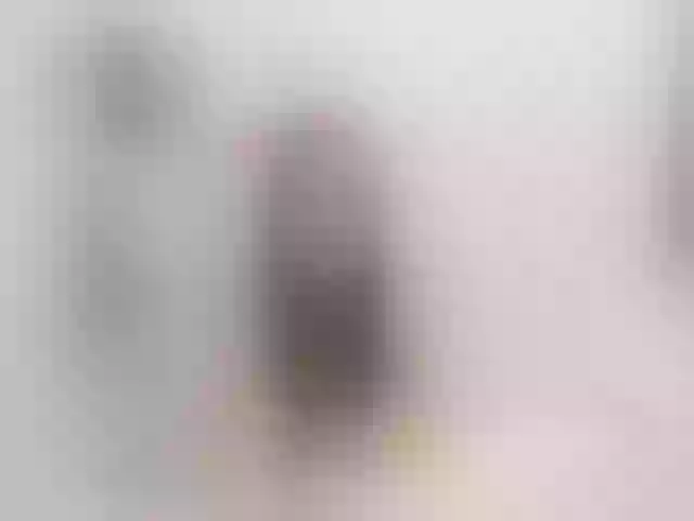 Live sex webcam photo for ShortieSaysHi #272894264