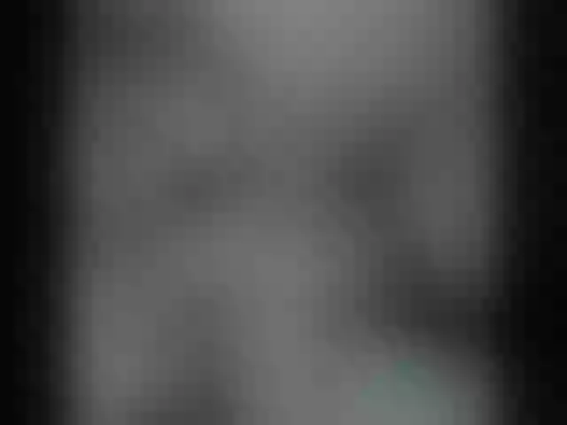 Live sex webcam photo for Shy_Arwyn #273495388