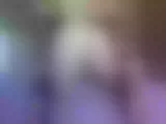 Live sex webcam photo for Shydiamondx #274436410