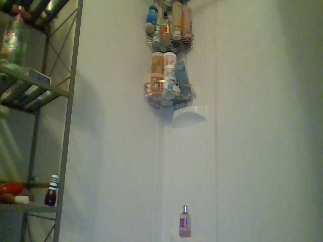 Live sex webcam photo for Shyleec4431 #274651857