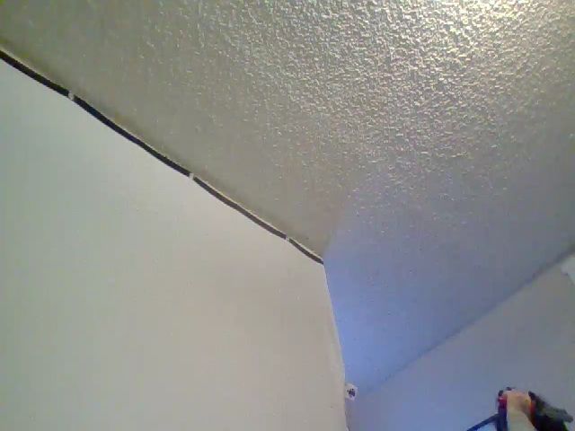 Live sex webcam photo for Shyleec4431 #274666806