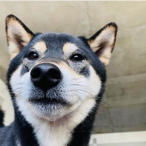 Live sex webcam photo for SierraSol #288457403