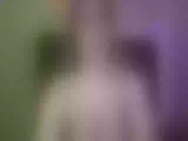 Live sex webcam photo for SnowBunny1999 #273441991