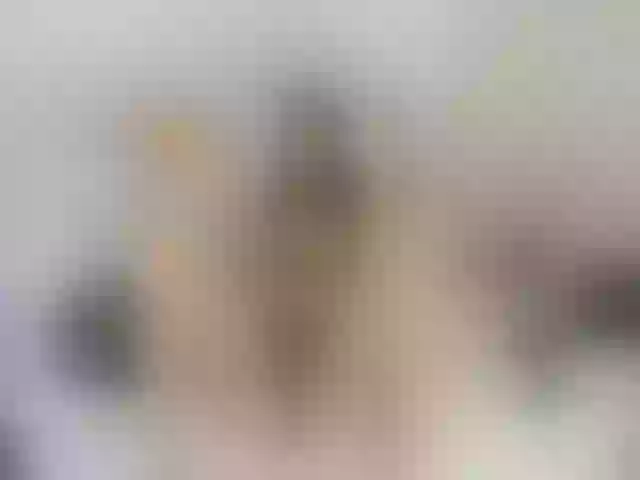 Live sex webcam photo for Sofiasexy_ #273791725