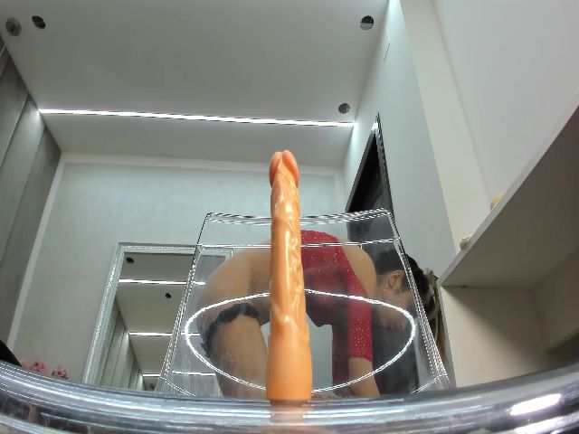 Live sex webcam photo for SonyaHailey #271851573