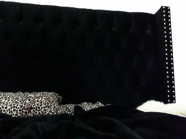 Live sex webcam photo for Sophia__Marie #273354198