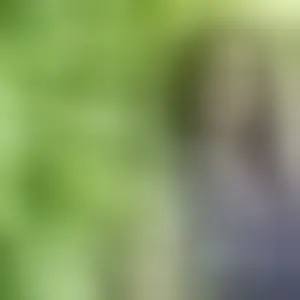 Live sex webcam photo for SophieDesire #292763770