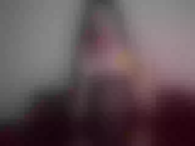 Live sex webcam photo for SophieRouse #272444408