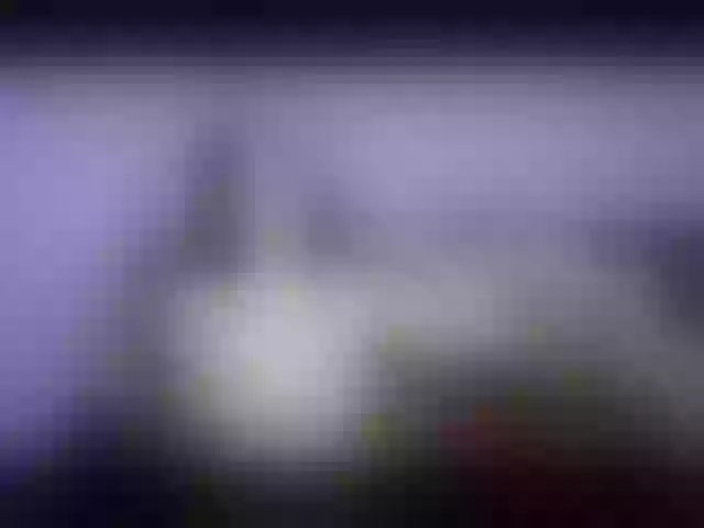 Live sex webcam photo for Stasylilsi #273078539