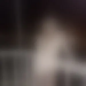 Live sex webcam photo for Stesha