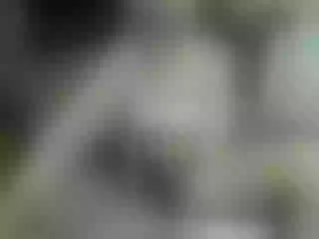 Live sex webcam photo for Sugarbabybr #273123018
