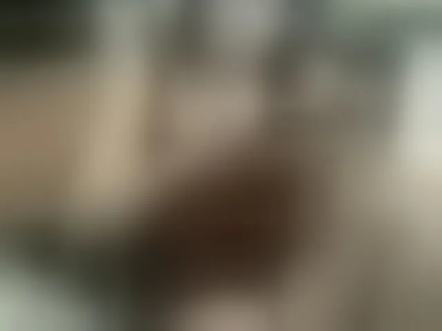 Live sex webcam photo for Sugarbabybr #273154835