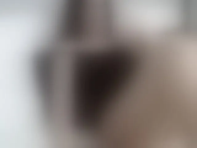Live sex webcam photo for Sunshine #271865196