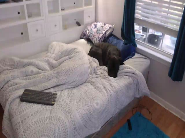 Live sex webcam photo for SweetNSouthrn #272839450