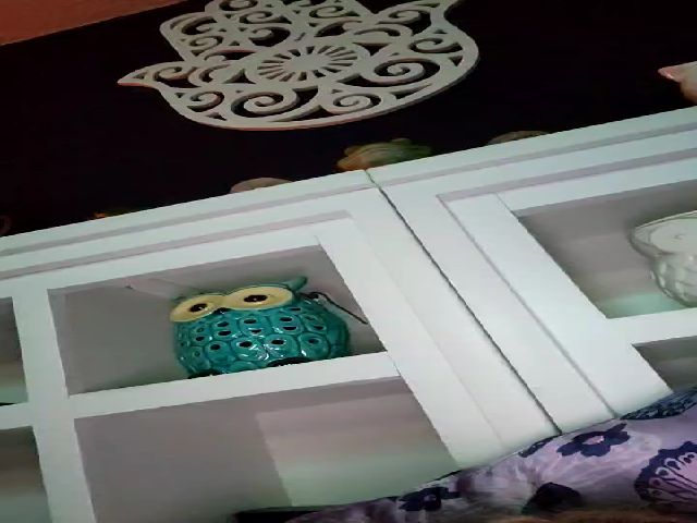 Live sex webcam photo for SweetNSouthrn #273343265