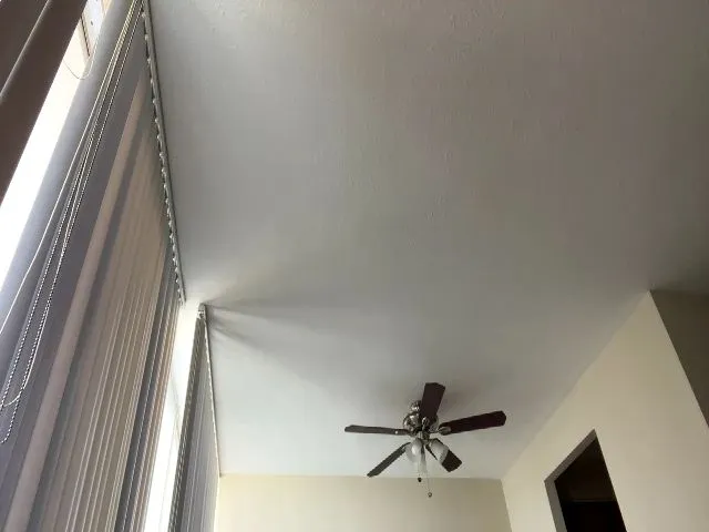 Live sex webcam photo for SwirlBunny #273464281
