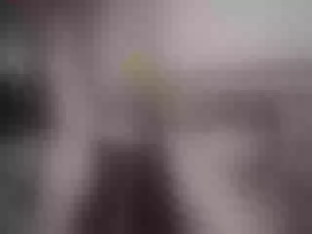 Live sex webcam photo for Tati10x #273132343