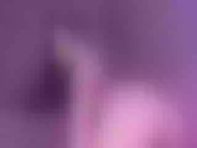 Live sex webcam photo for Terrie_Joe #273235846