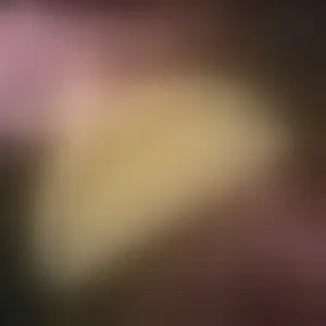 Live sex webcam photo for TestCam100 #293203042