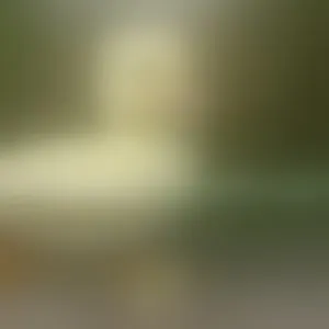 Live sex webcam photo for TestCam33