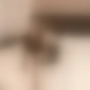Live sex webcam photo for Tip4Valeria