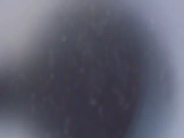 Live sex webcam photo for TotalBella #272879872