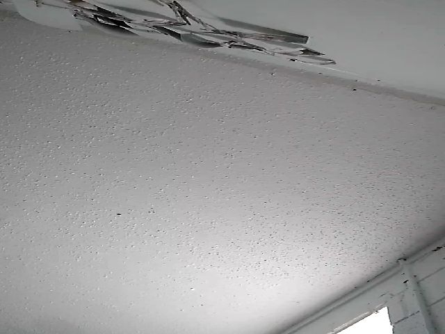 Live sex webcam photo for TxBabyGurl #271921829