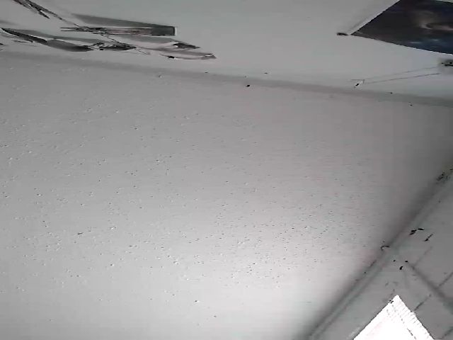 Live sex webcam photo for TxBabyGurl #271934223