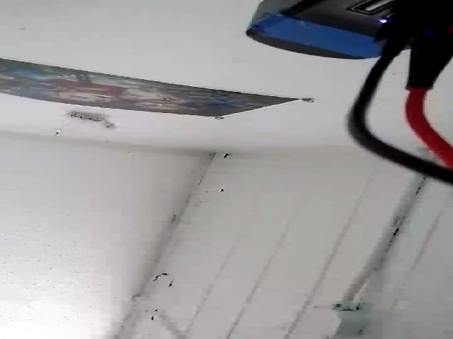 Live sex webcam photo for TxBabyGurl #272043785