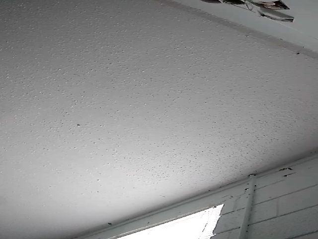 Live sex webcam photo for TxBabyGurl #272228515