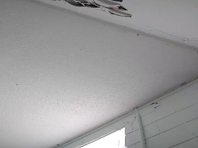 Live sex webcam photo for TxBabyGurl #272244614