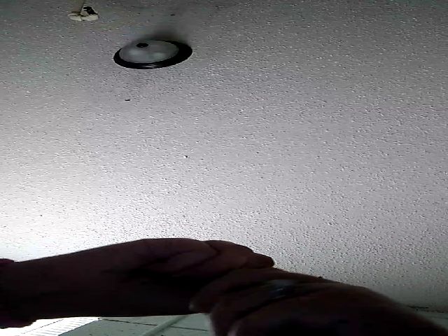 Live sex webcam photo for TxBabyGurl #272267984