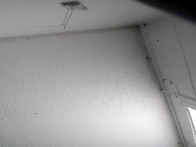 Live sex webcam photo for TxBabyGurl #272295920