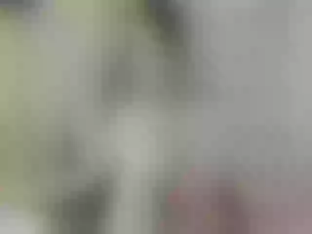 Live sex webcam photo for VanessaCroft #273104514