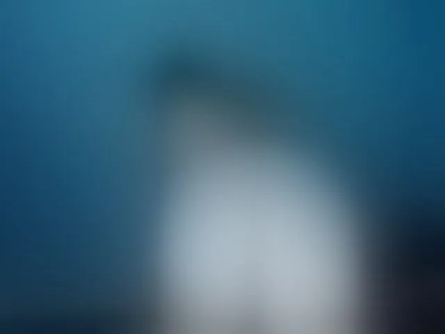 Live sex webcam photo for Venuspit #272942478