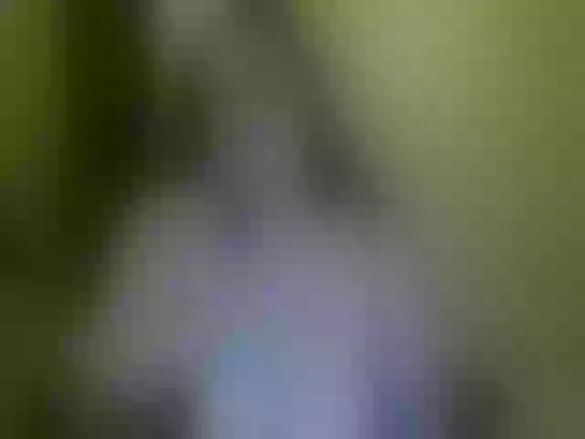 Live sex webcam photo for WetBunny23 #271688981