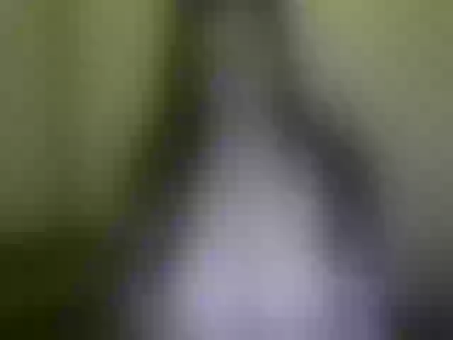 Live sex webcam photo for WetBunny23 #271697351