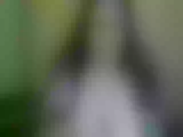 Live sex webcam photo for WetBunny23 #271697409