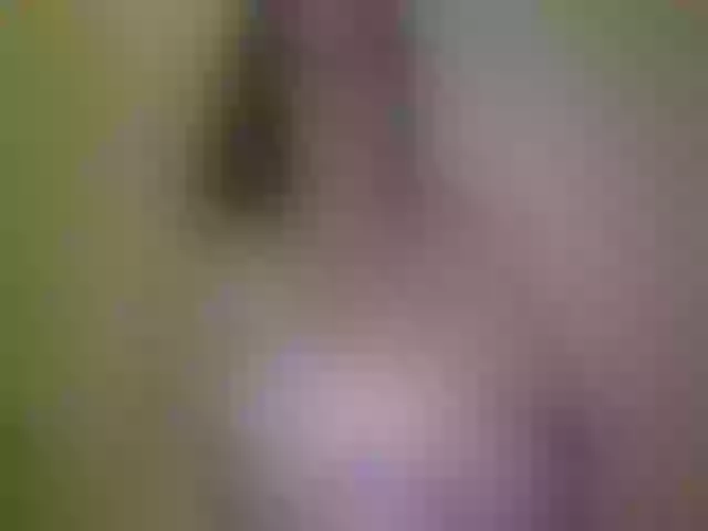Live sex webcam photo for WetBunny23 #271822382