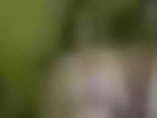 Live sex webcam photo for WetBunny23 #272152239