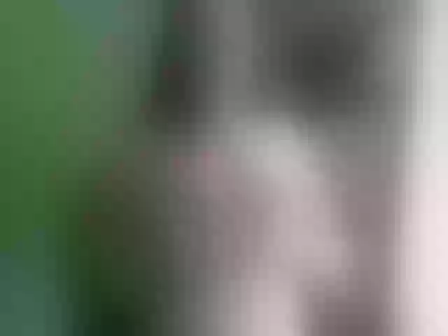 Live sex webcam photo for WetBunny23 #272194136