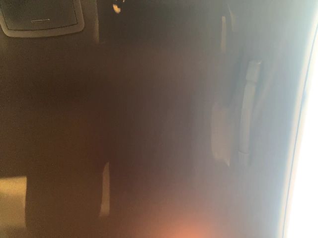 Live sex webcam photo for WetFlowerr4U #274048284