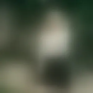 Live sex webcam photo for White_flwer #292763687