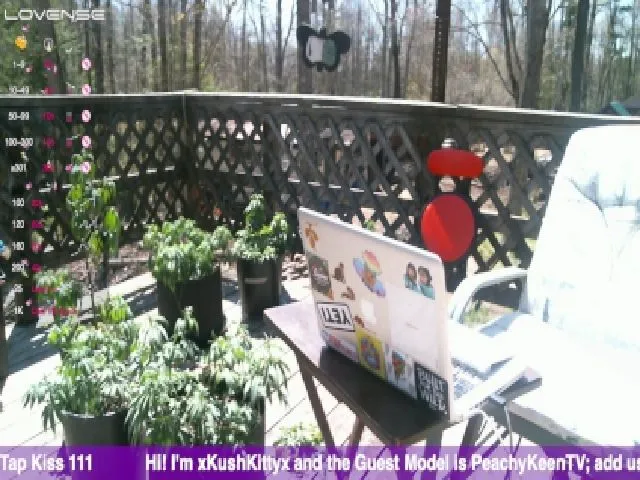 Live sex webcam photo for XKushKittyX #273359657