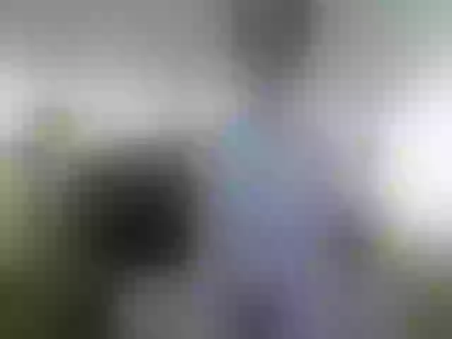 Live sex webcam photo for XMoonBearX #274055969