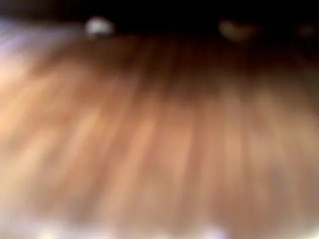Live sex webcam photo for XTvoiPersikX #272884064